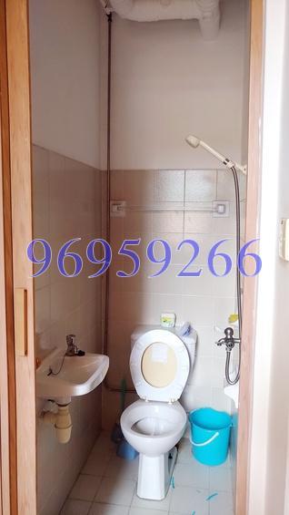Tanglin View (D3), Condominium #163874522